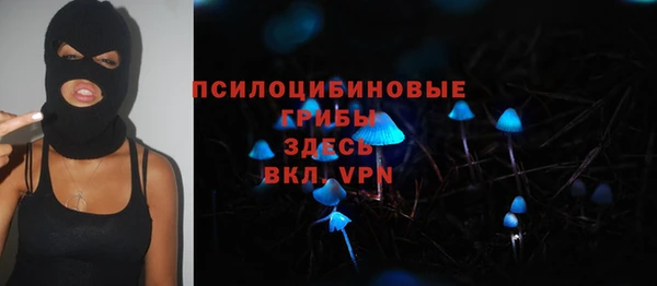 спиды Козельск