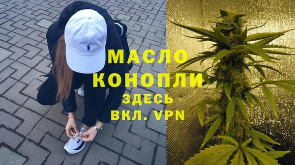 индика Киреевск