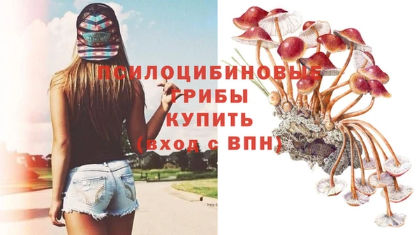 спиды Козельск