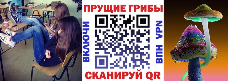 Галлюциногенные грибы GOLDEN TEACHER  Купить  Белозерск 